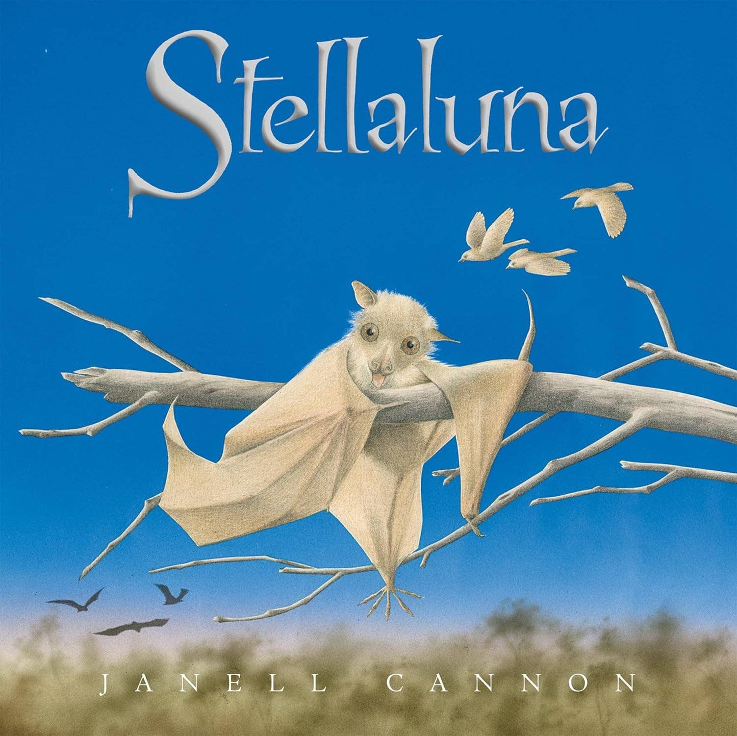 Stellaluna Board Book: Janell Cannon