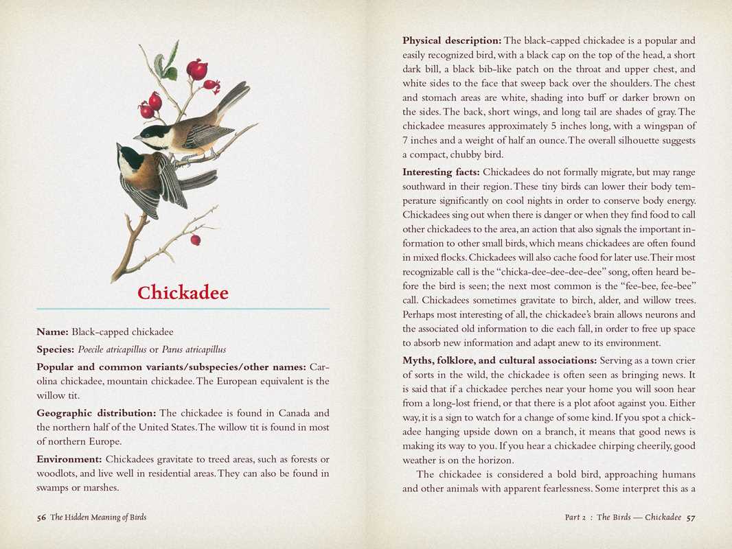 Hidden Meaning of Birds: A Spiritual Field Guide by Arin Murphy-Hiscock