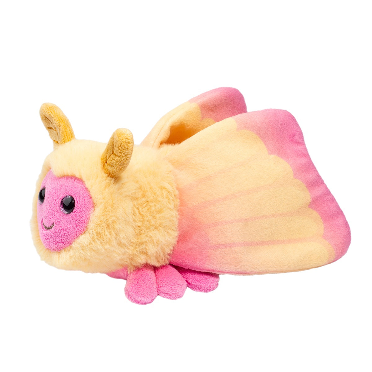 Rosy the maple moth by Douglas