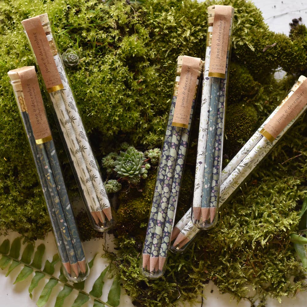 Tea Garden Pencil Terrarium, Set of 5 Pencils