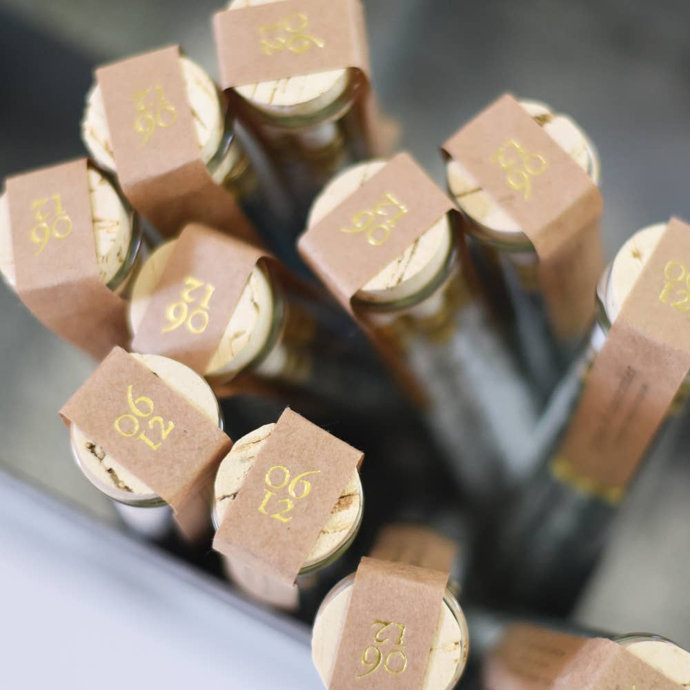 Tea Garden Pencil Terrarium, Set of 5 Pencils