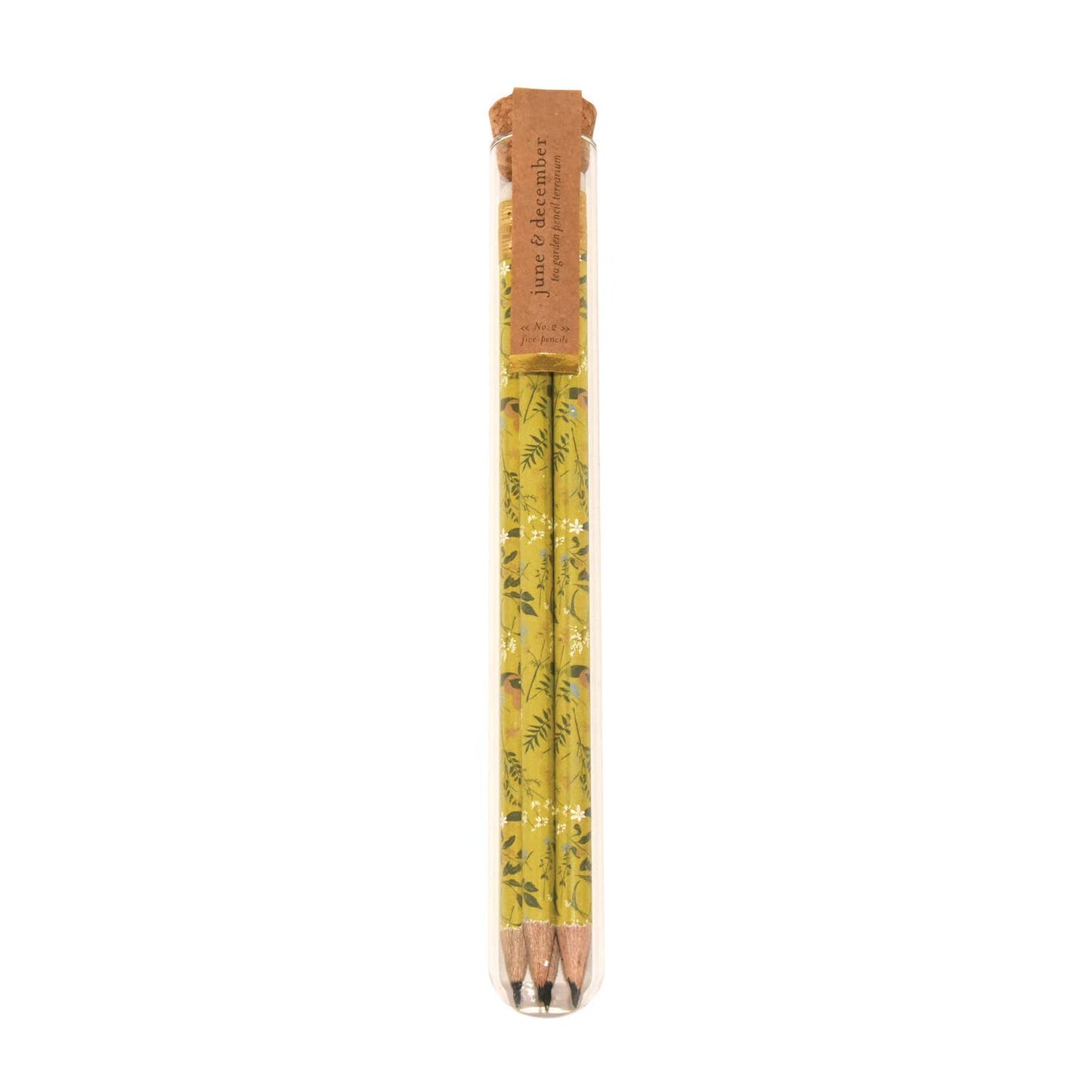 Tea Garden Pencil Terrarium, Set of 5 Pencils