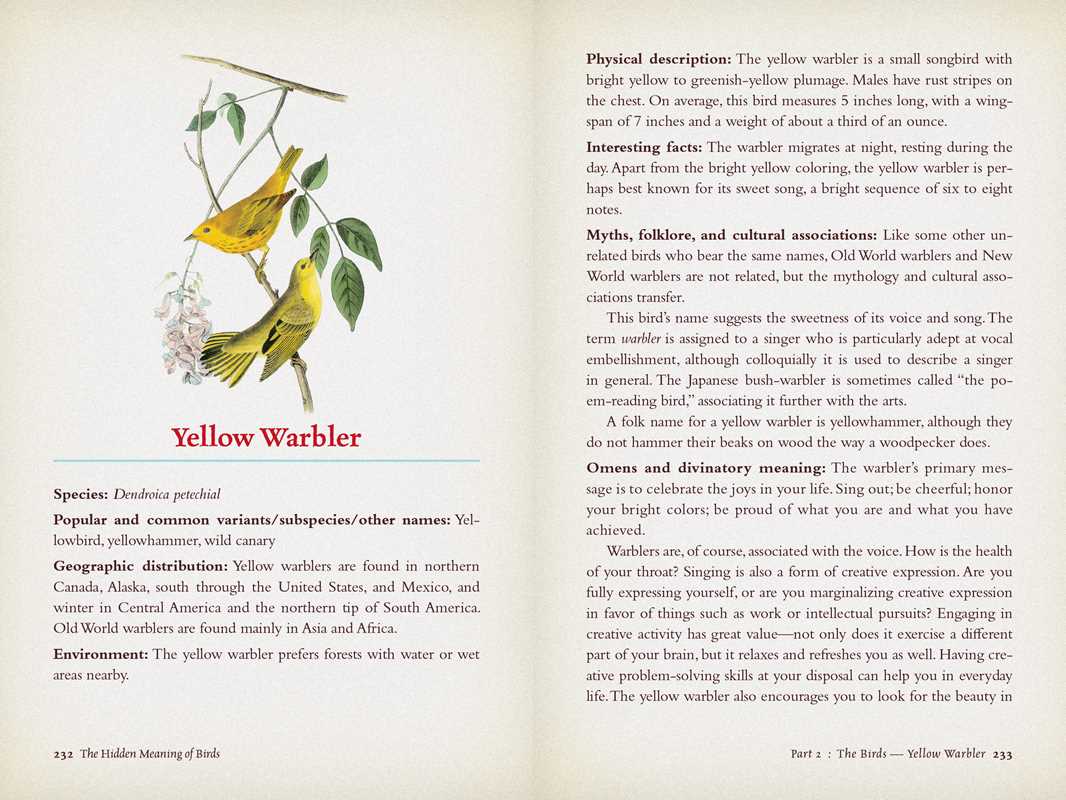 Hidden Meaning of Birds: A Spiritual Field Guide by Arin Murphy-Hiscock