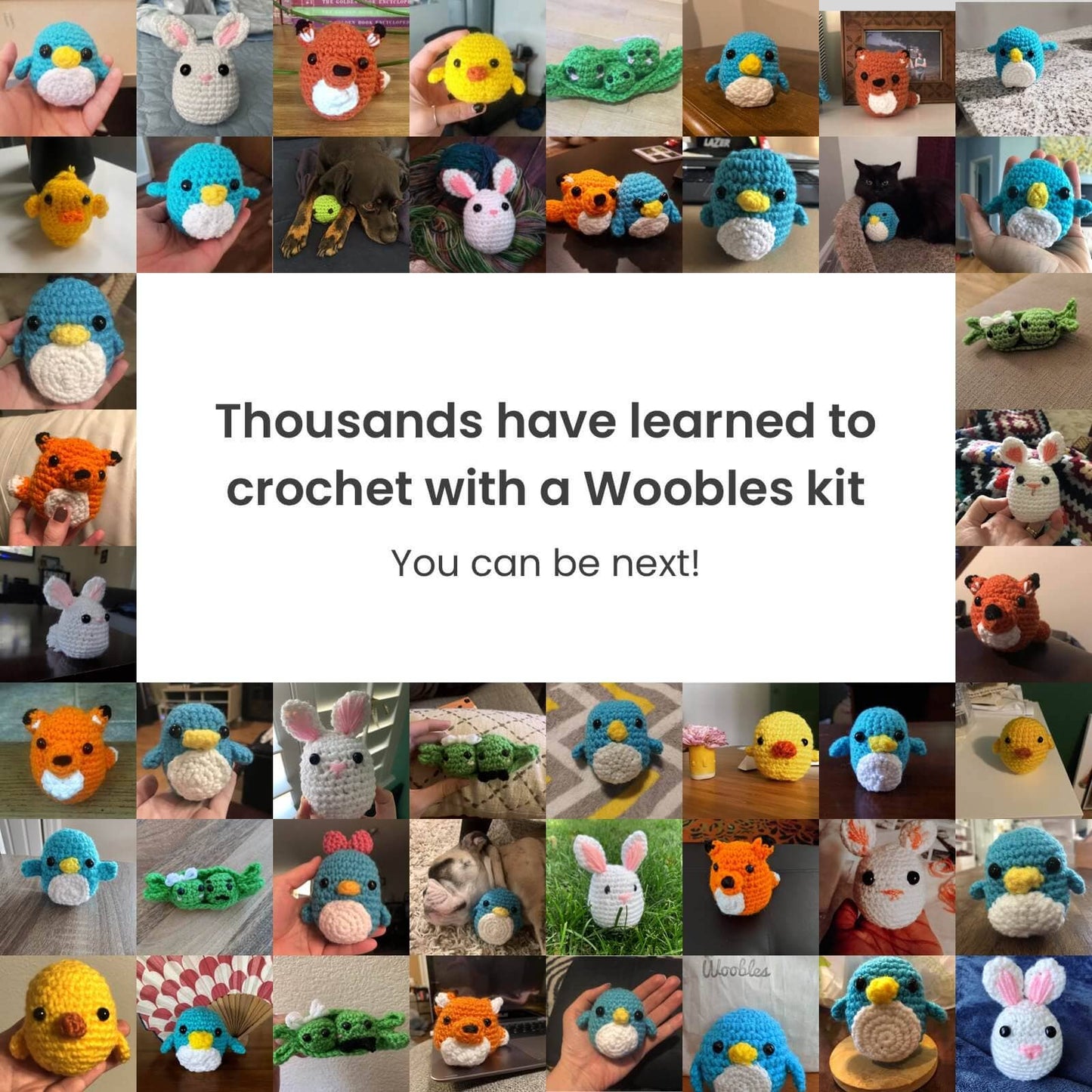 Pierre the BLUE Penguin Beginner Crochet Kit