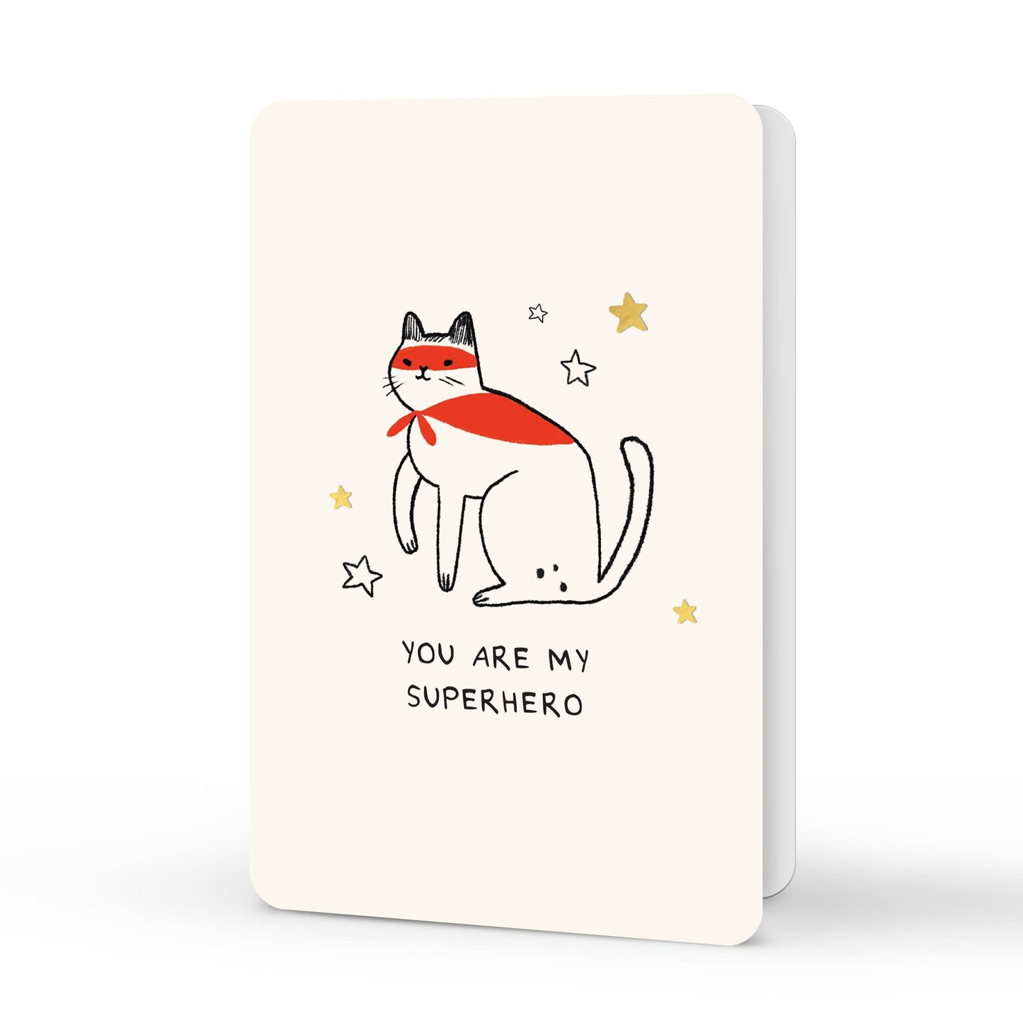 Notecard Set Kitten Caboodle