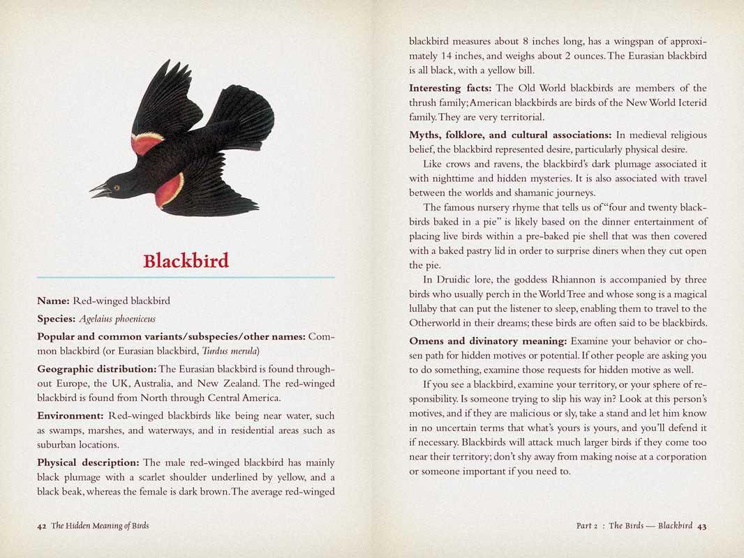 Hidden Meaning of Birds: A Spiritual Field Guide by Arin Murphy-Hiscock