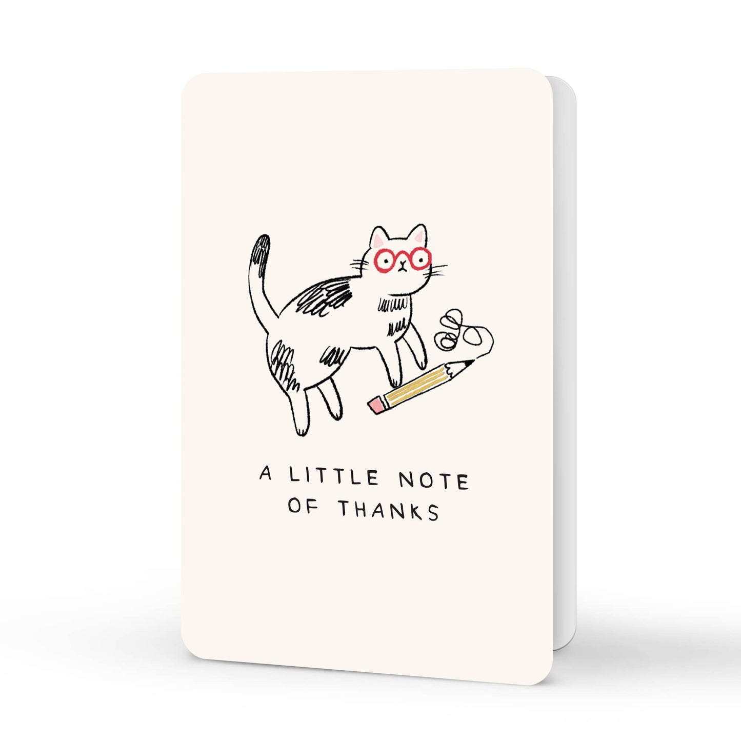 Notecard Set Kitten Caboodle