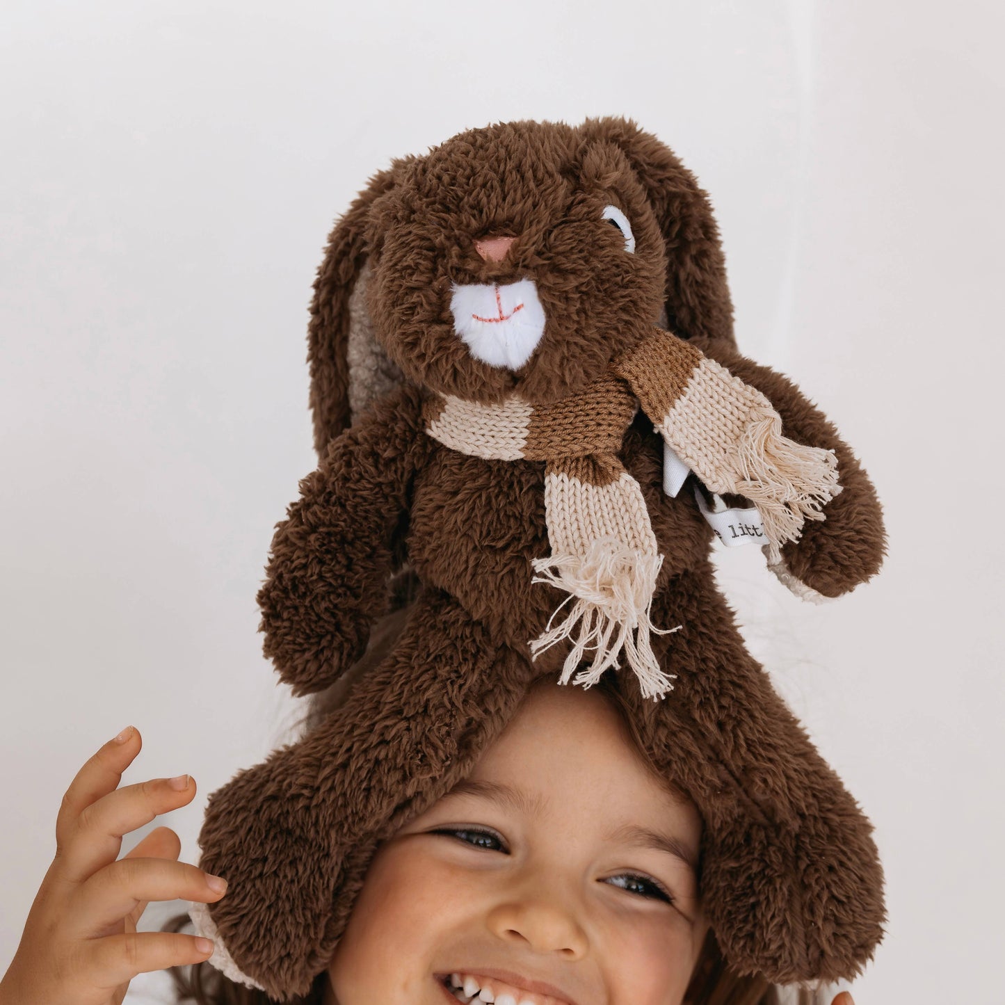 Frankie Rabbit (medium)