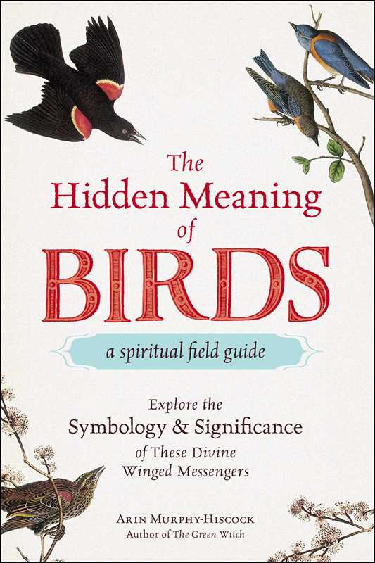 Hidden Meaning of Birds: A Spiritual Field Guide by Arin Murphy-Hiscock