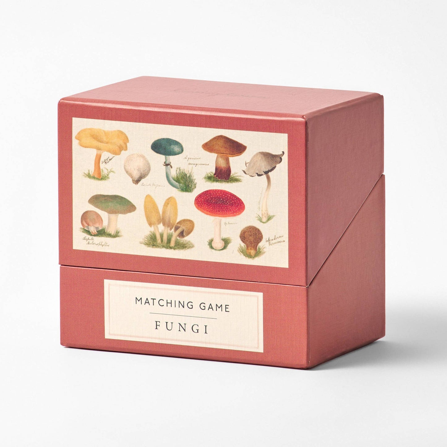 Fungi/Mushroom Matching Game from Roomytown