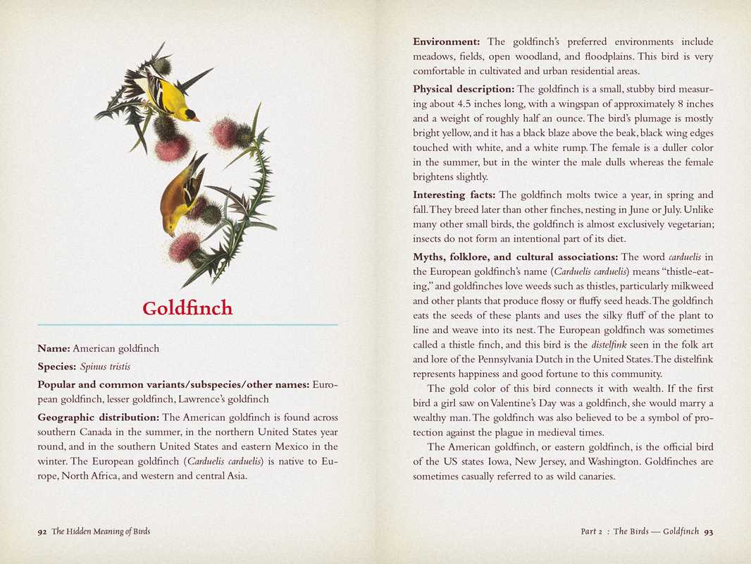 Hidden Meaning of Birds: A Spiritual Field Guide by Arin Murphy-Hiscock