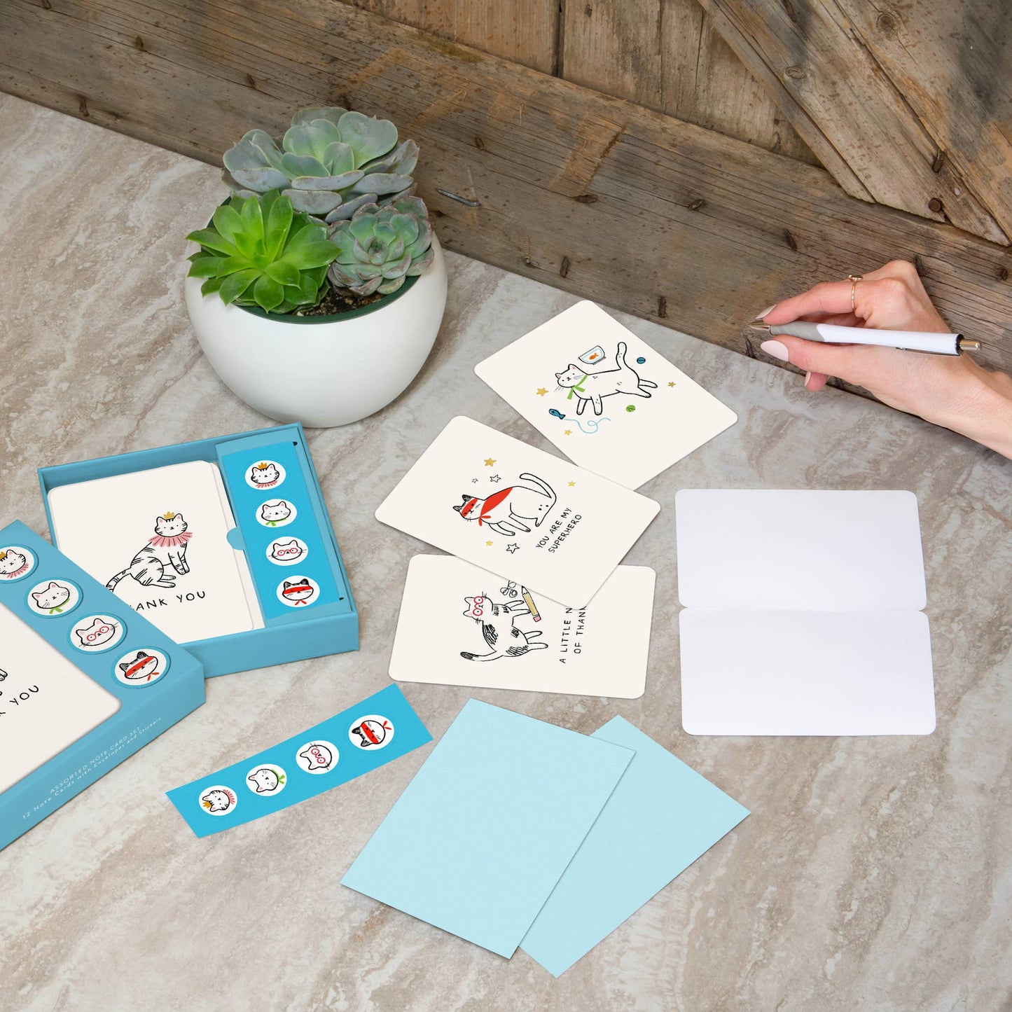 Notecard Set Kitten Caboodle