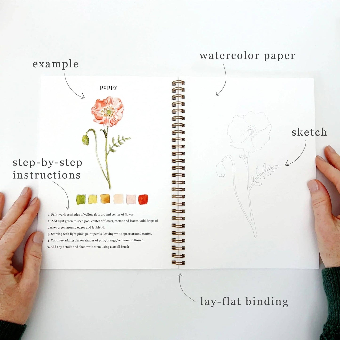 flowers watercolor workbook by emily lex