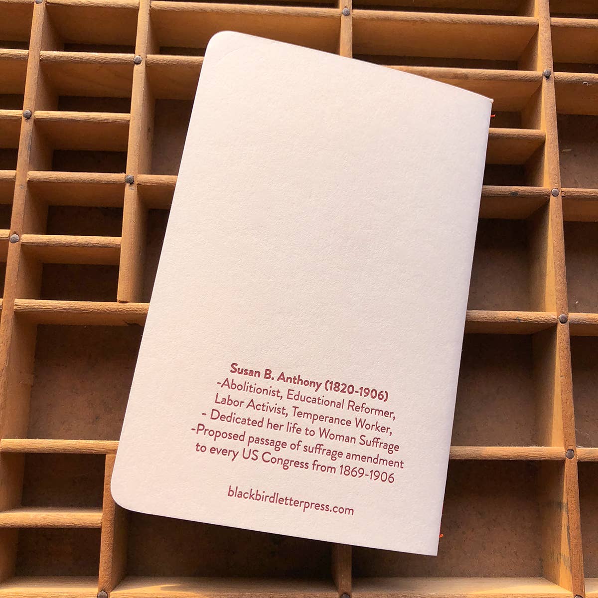 Susan B. Anthony notebook