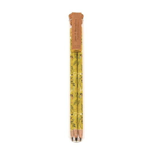 Tea Garden Pencil Terrarium, Set of 5 Pencils