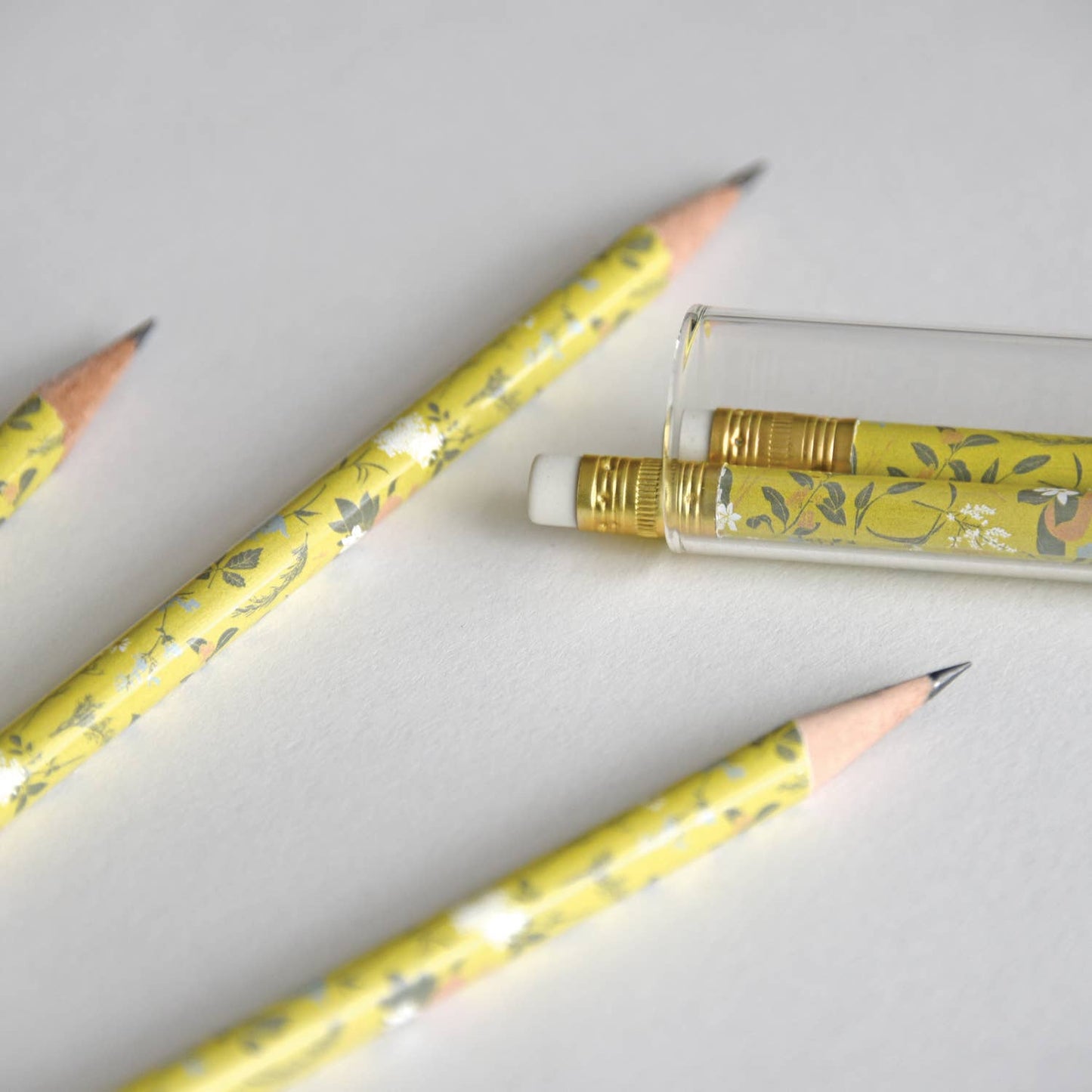 Tea Garden Pencil Terrarium, Set of 5 Pencils