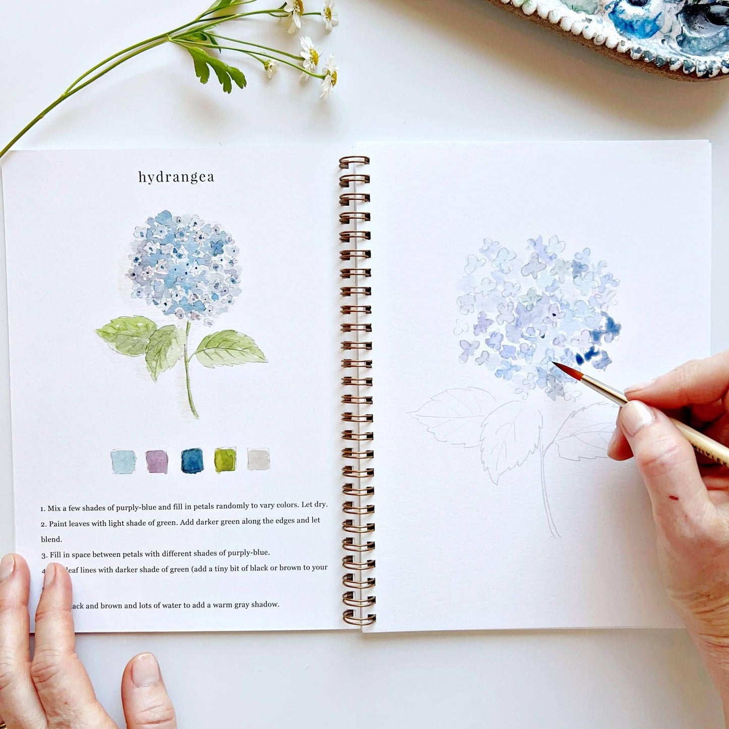 flowers watercolor workbook by emily lex
