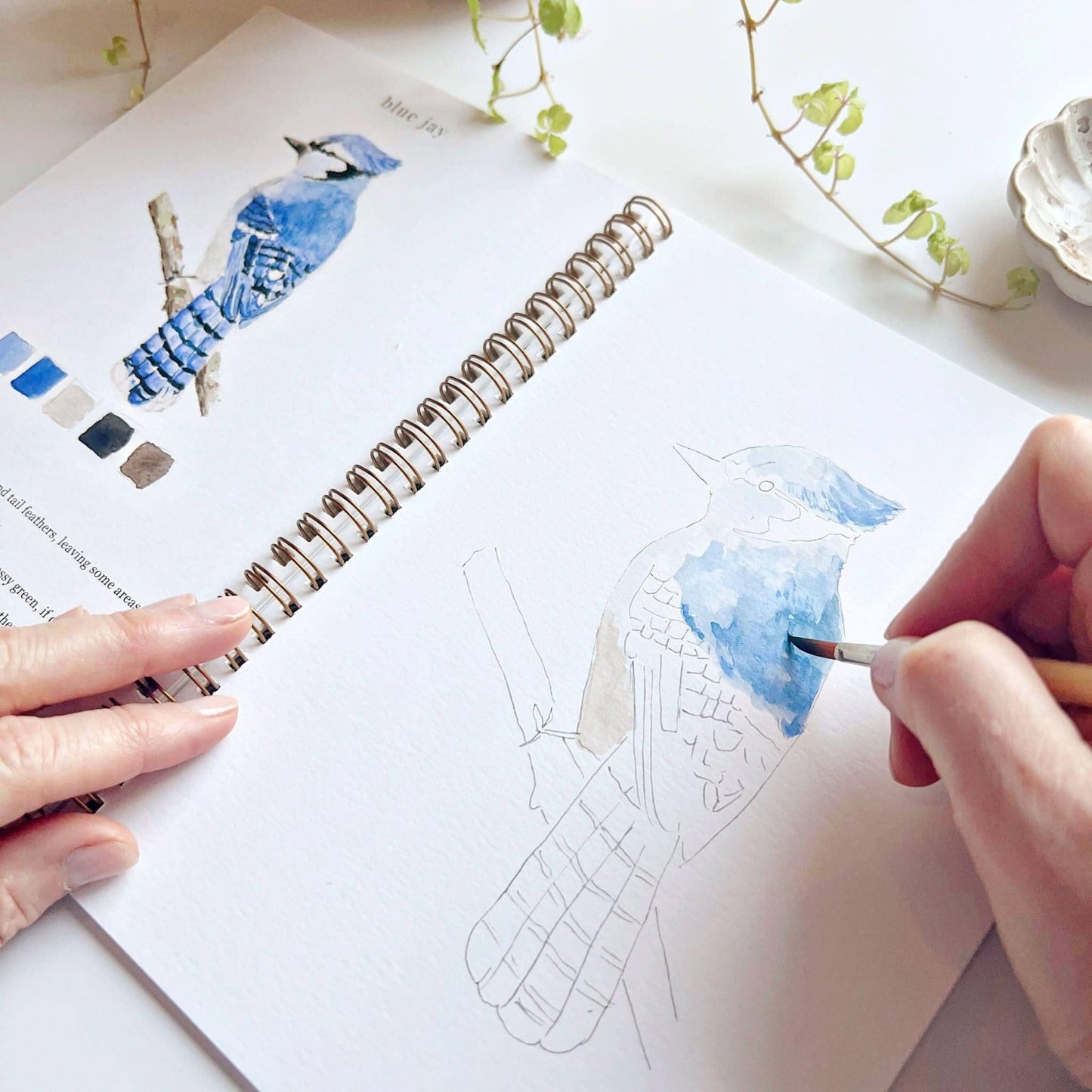 birds watercolor workbook by emily lex