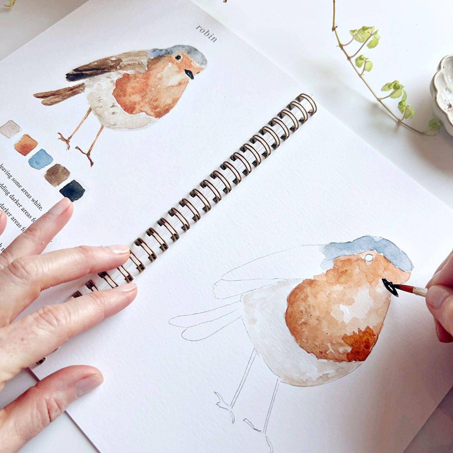 birds watercolor workbook by emily lex