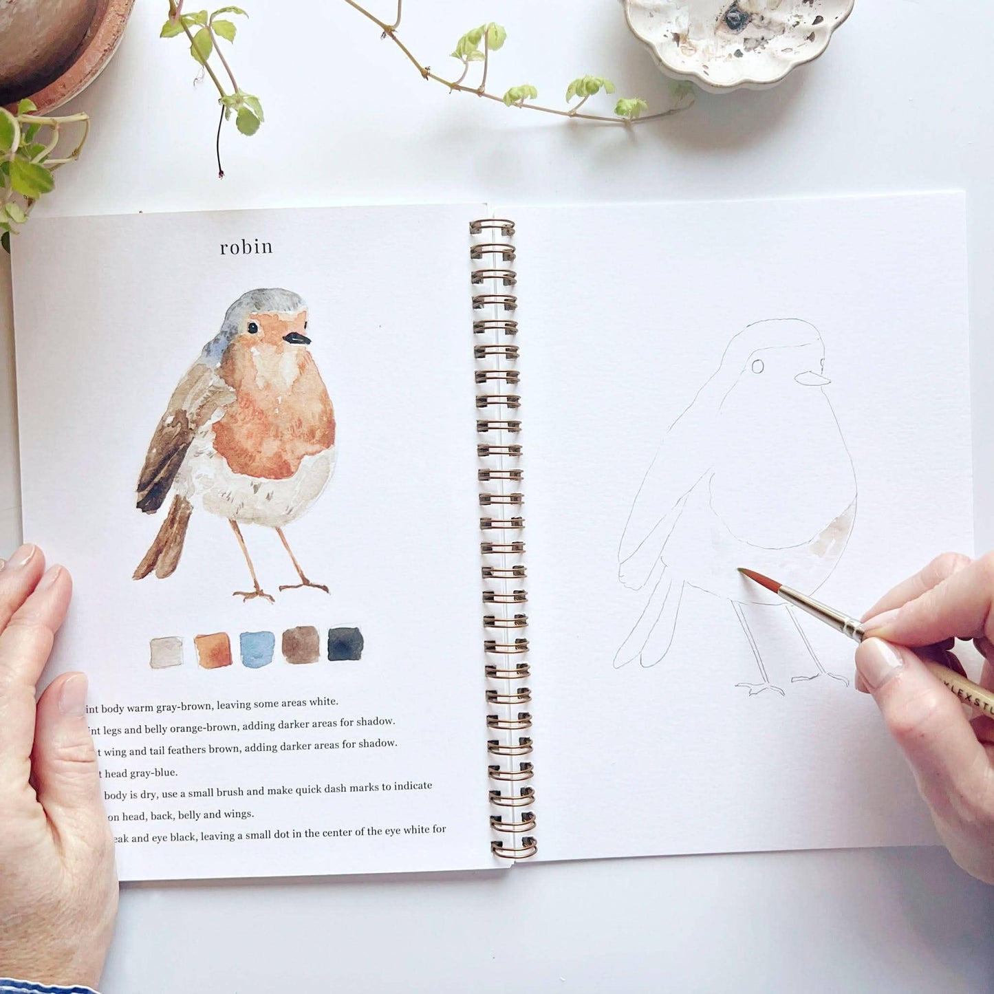 birds watercolor workbook by emily lex