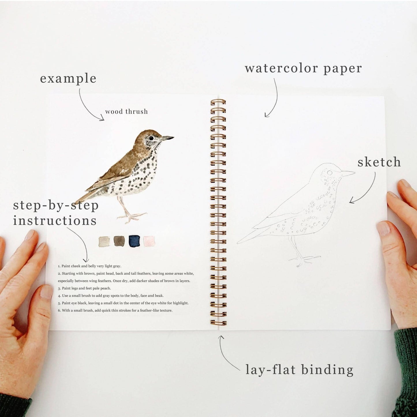 birds watercolor workbook by emily lex