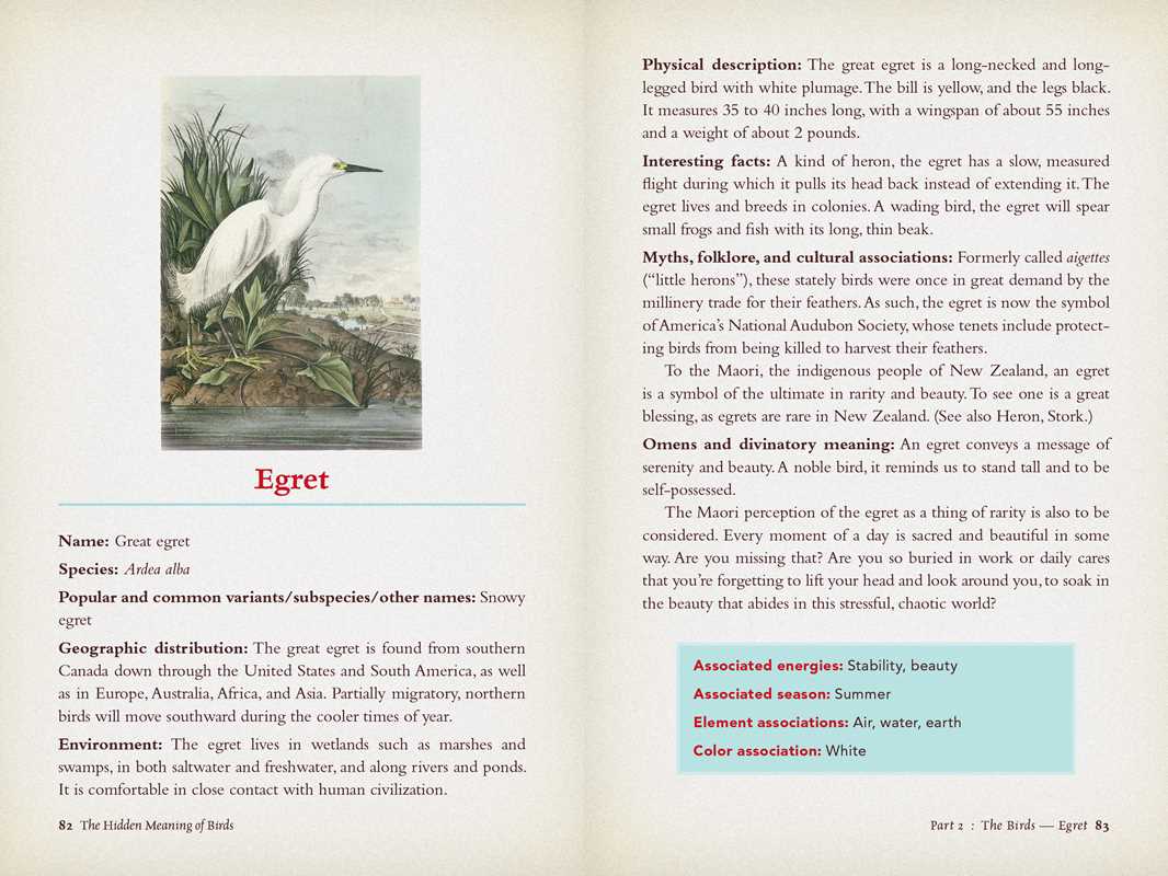 Hidden Meaning of Birds: A Spiritual Field Guide by Arin Murphy-Hiscock