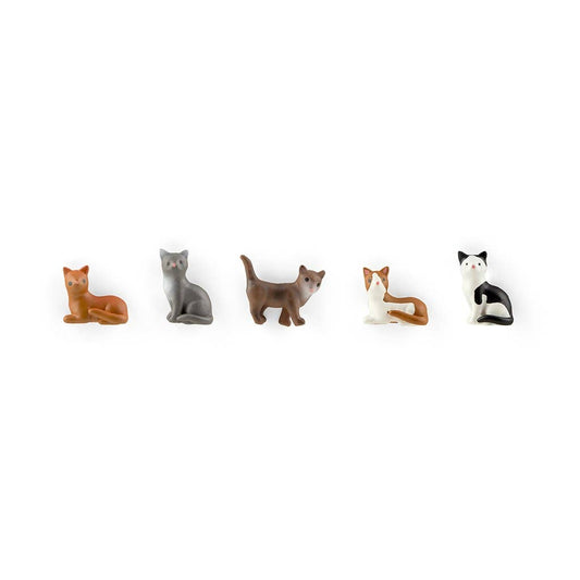Colorful cat magnets