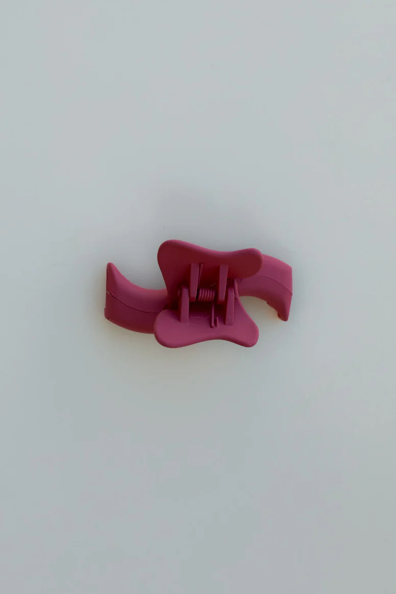 KAXI Mini Hold Everything Claw Clip