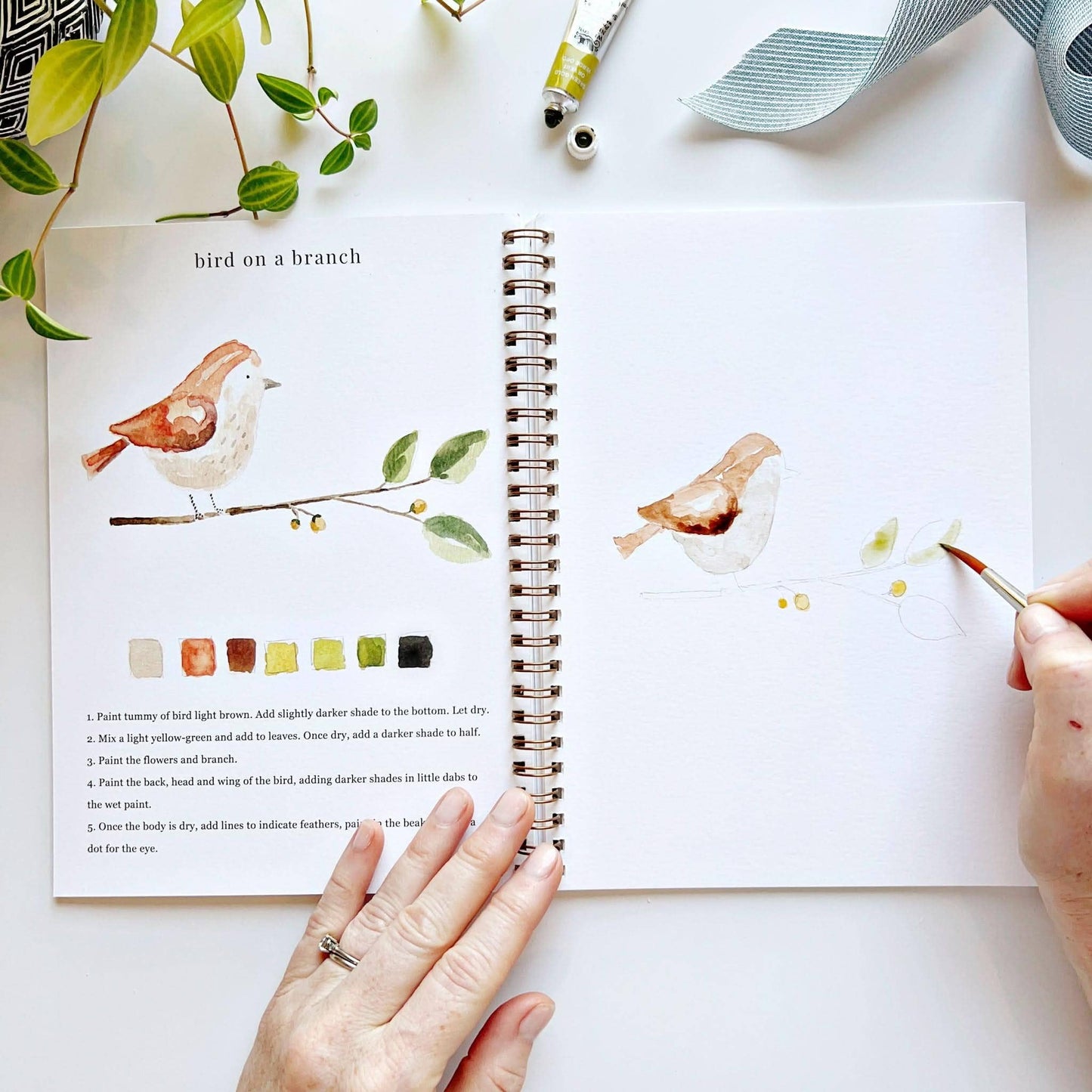 animals watercolor workbook by emily lex