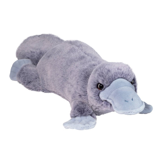 Allie the platypus by Douglas