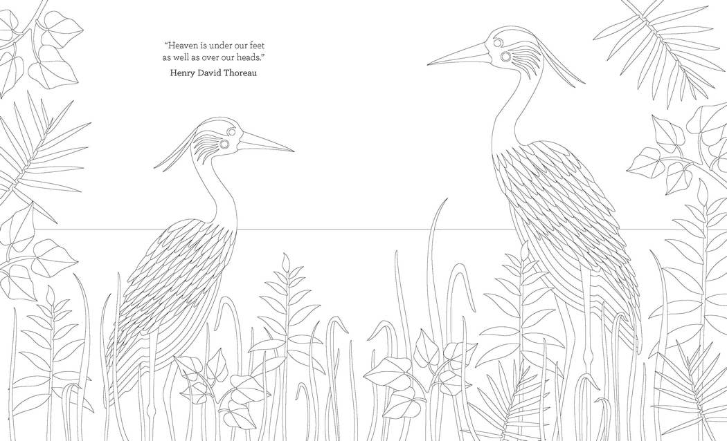 Joy of Mindfulness Coloring