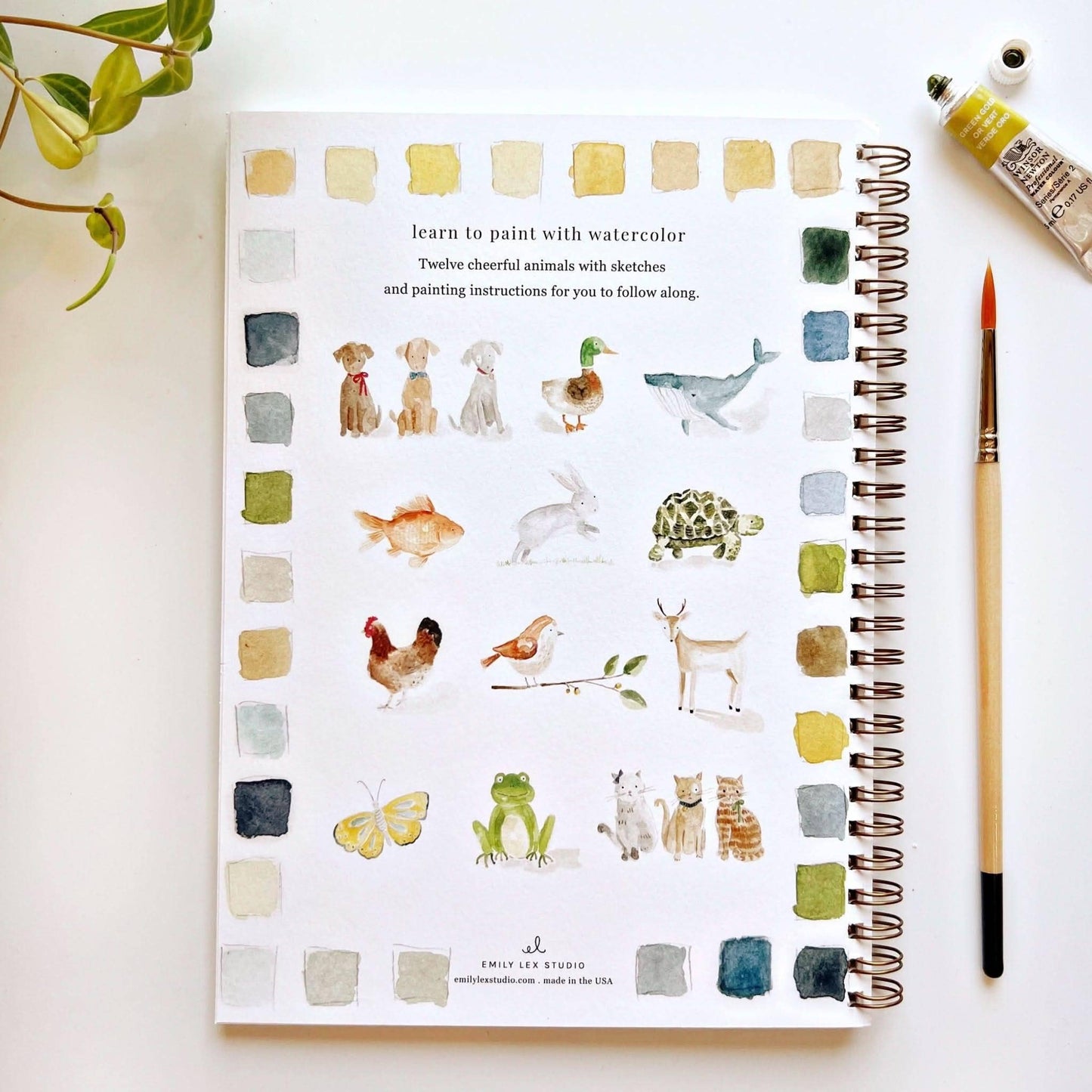 animals watercolor workbook by emily lex