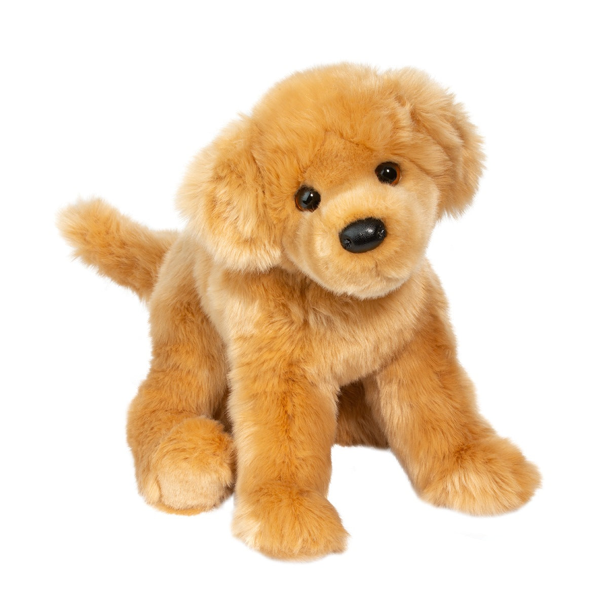 Bella the golden retriever by Douglas
