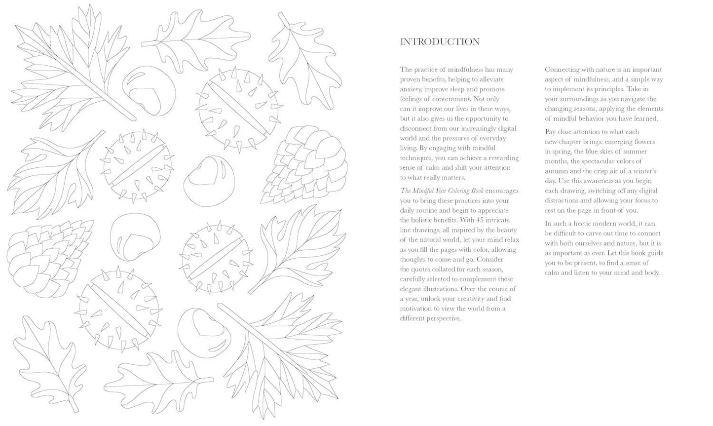 The Mindful Year Coloring Book