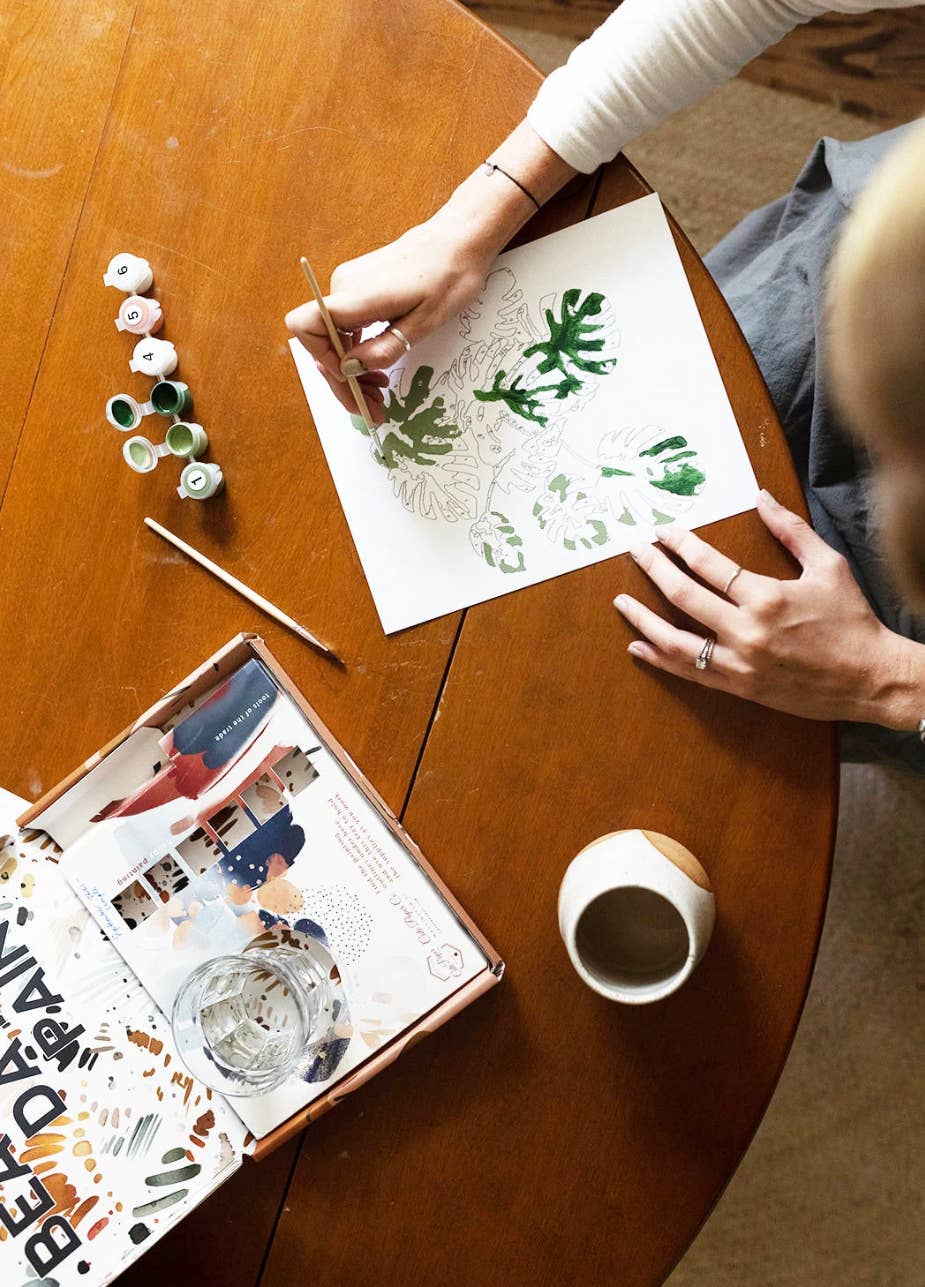 Mountain Range Paint-By-Numbers kit