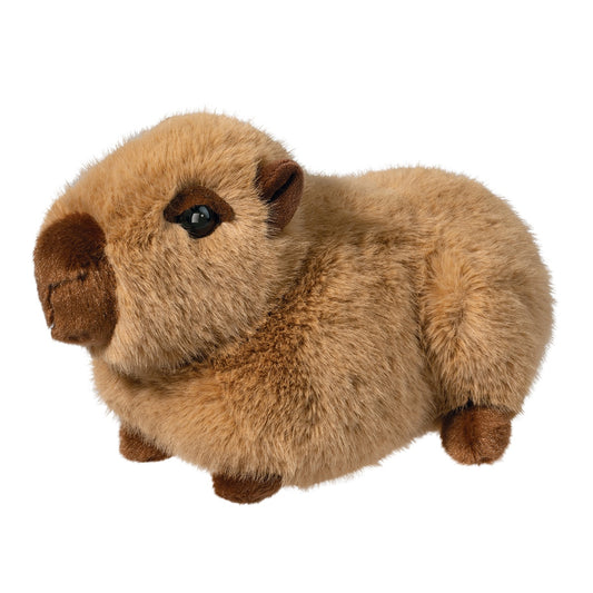 Chattie the capybara by Douglas