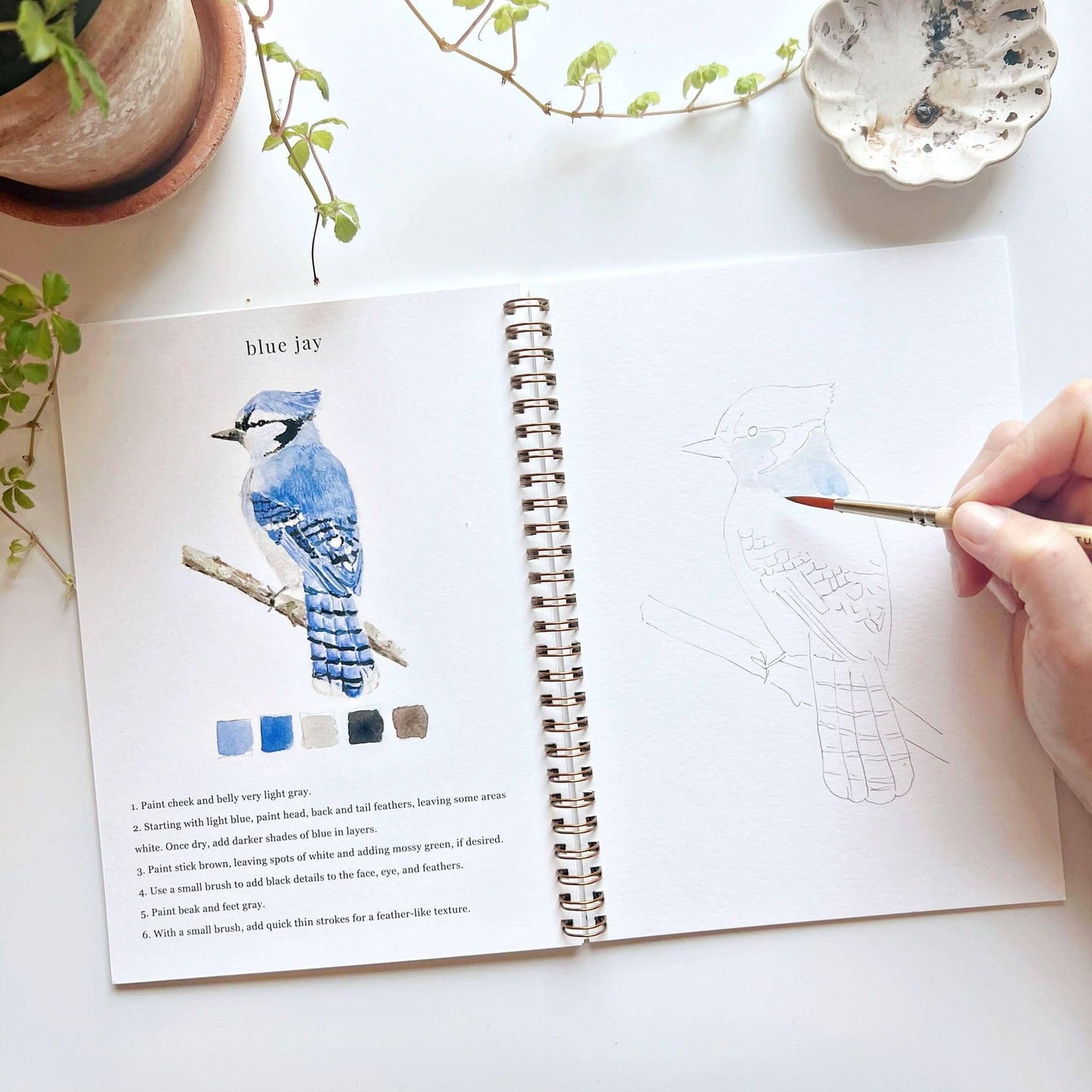 birds watercolor workbook by emily lex