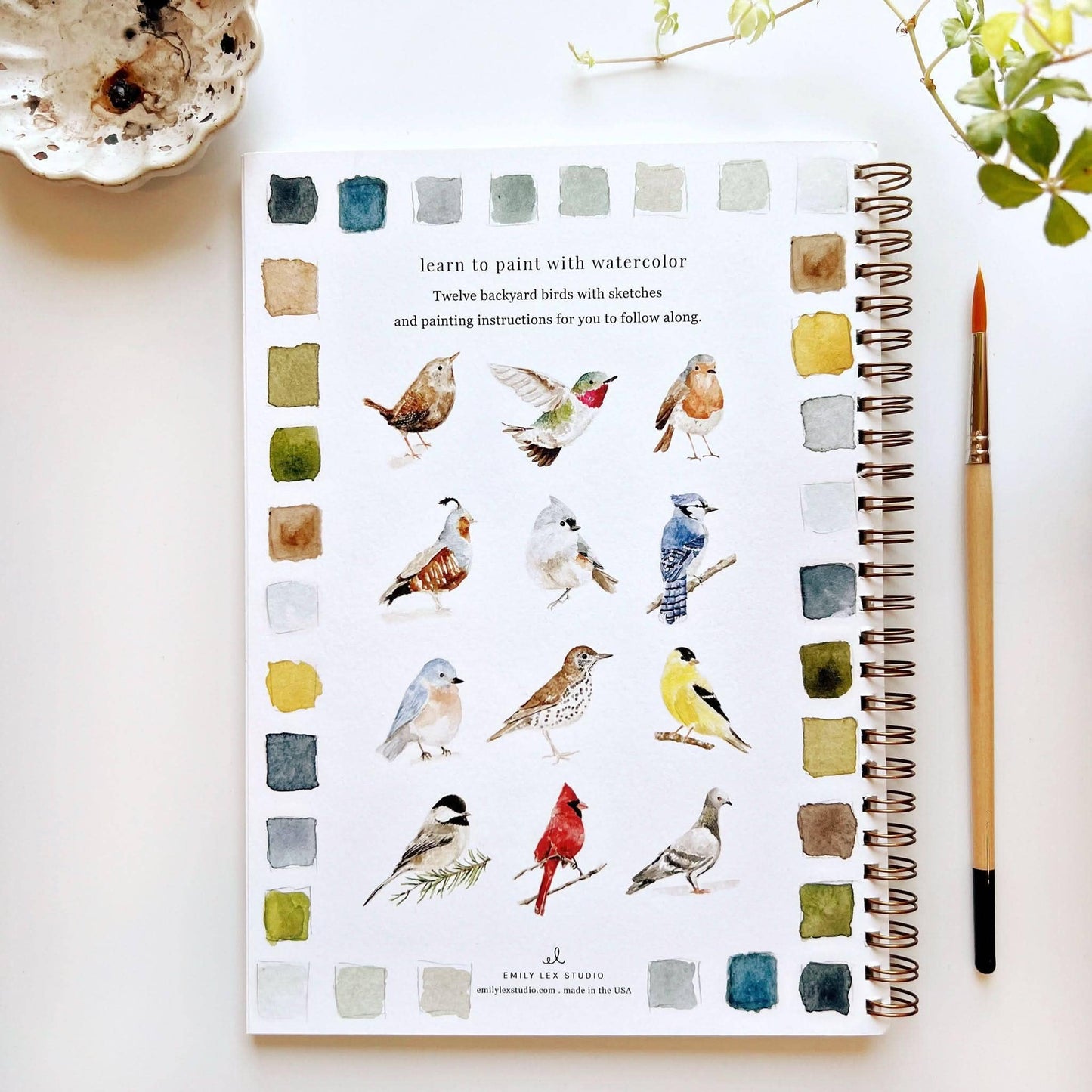 birds watercolor workbook by emily lex