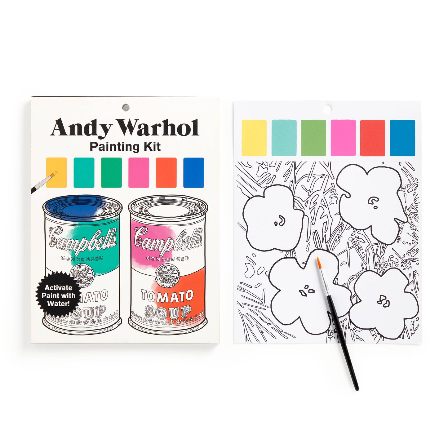 Andy Warhol Painting Kit