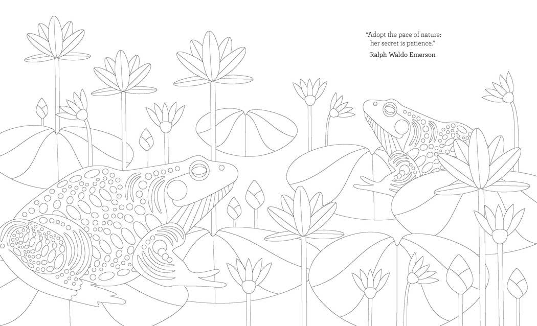 Joy of Mindfulness Coloring
