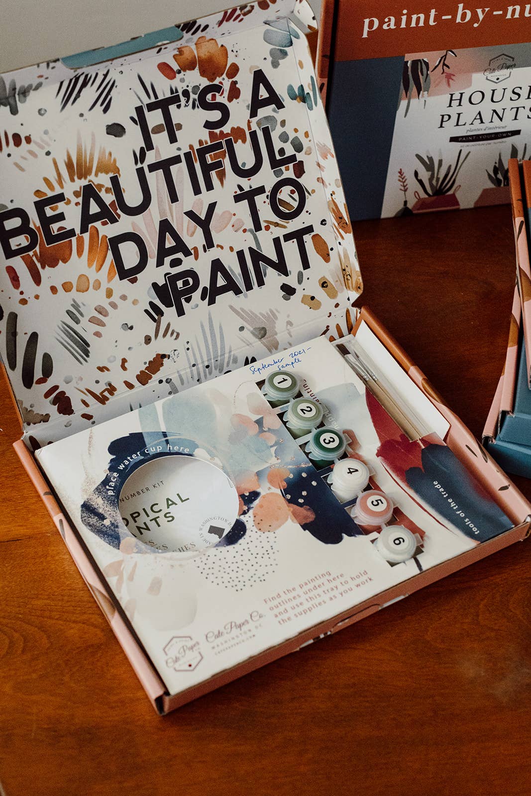 Field and Flower Paint-By-Numbers kit