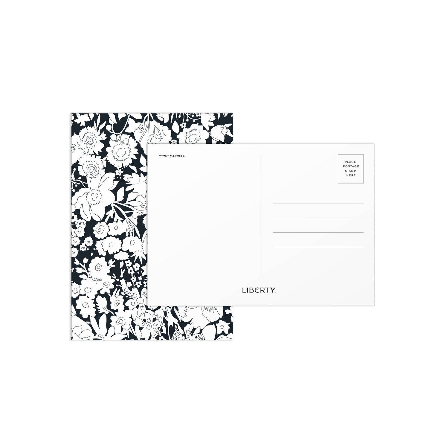 Liberty Paint-In Print Set