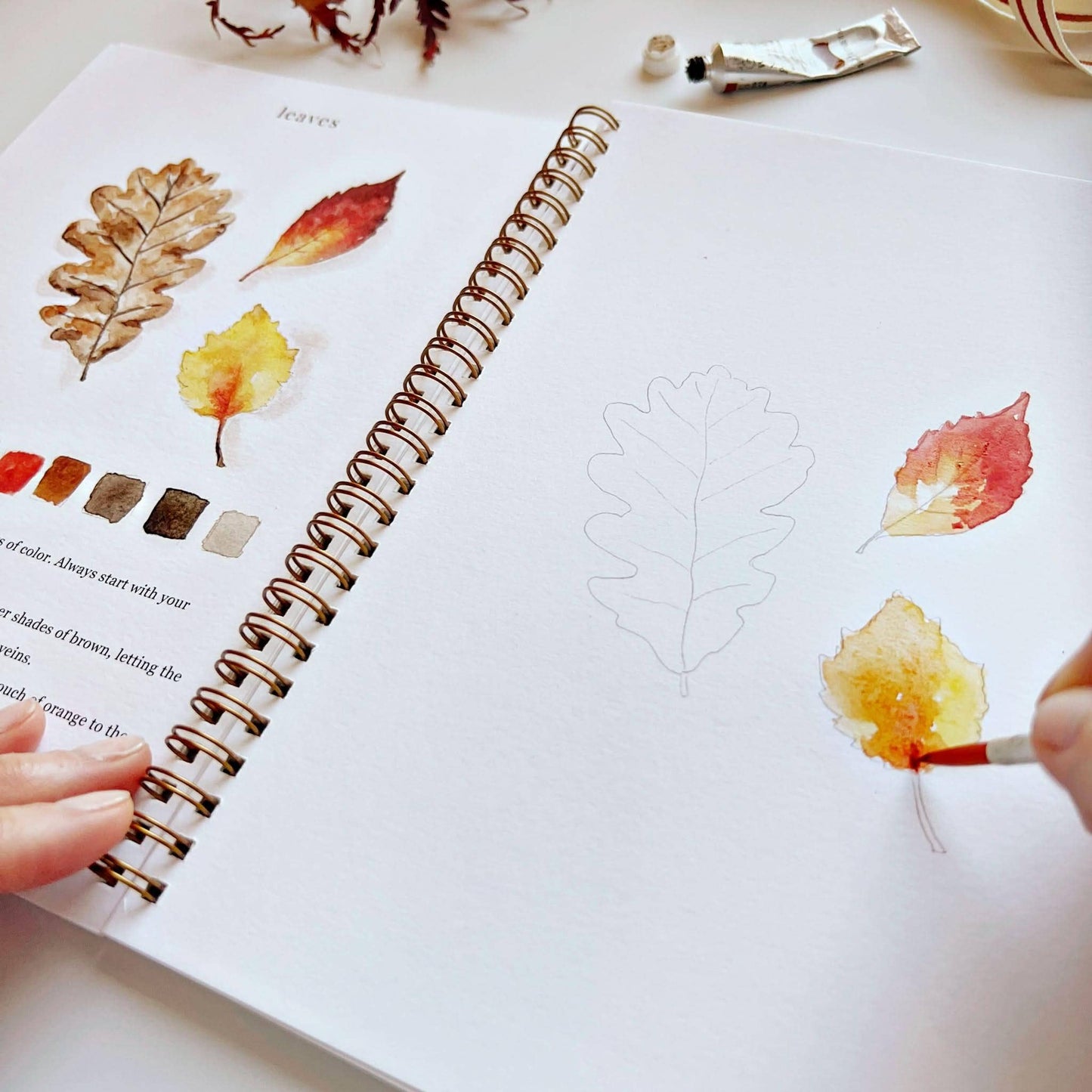 autumn watercolor workbook by emily lex