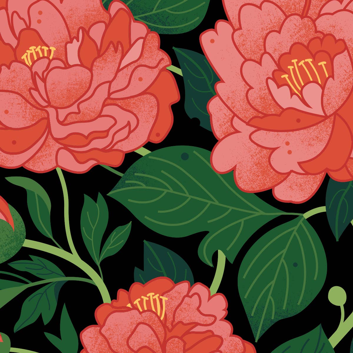 Indiana Peony (black on white)