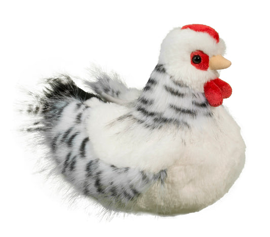 Salty black and white hen by Douglas