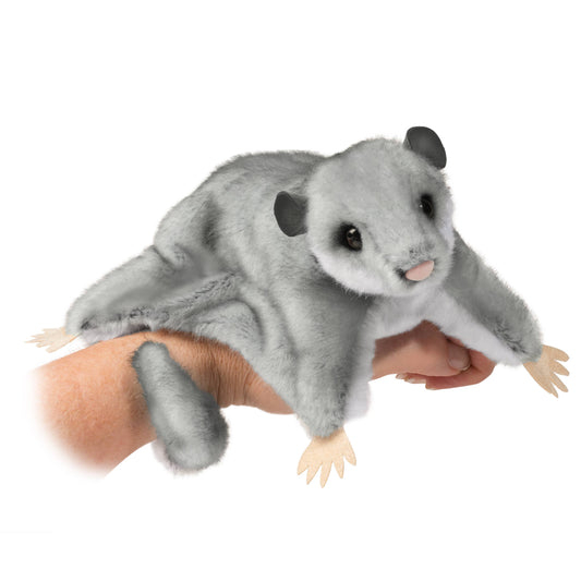 Squeek the sugar glider by Douglas